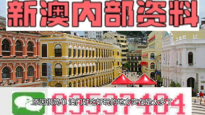 新澳門最精準資料大全，一網(wǎng)打盡最新信息，新澳門最精準資料大全，最新信息一網(wǎng)打盡