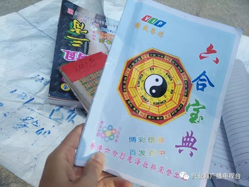 最新六盒寶典資料免費(fèi)大全下載攻略，最新六盒寶典資料免費(fèi)下載攻略大全