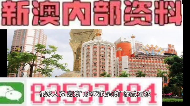 新澳門最精準資料大全——探索澳門的無限魅力，澳門魅力揭秘，最新精準資料大全