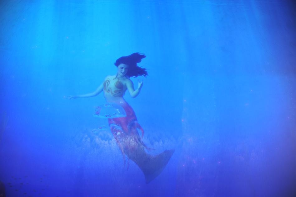 澳門美人魚，神秘魅力與傳說，澳門神秘美人魚，魅力與傳說揭秘