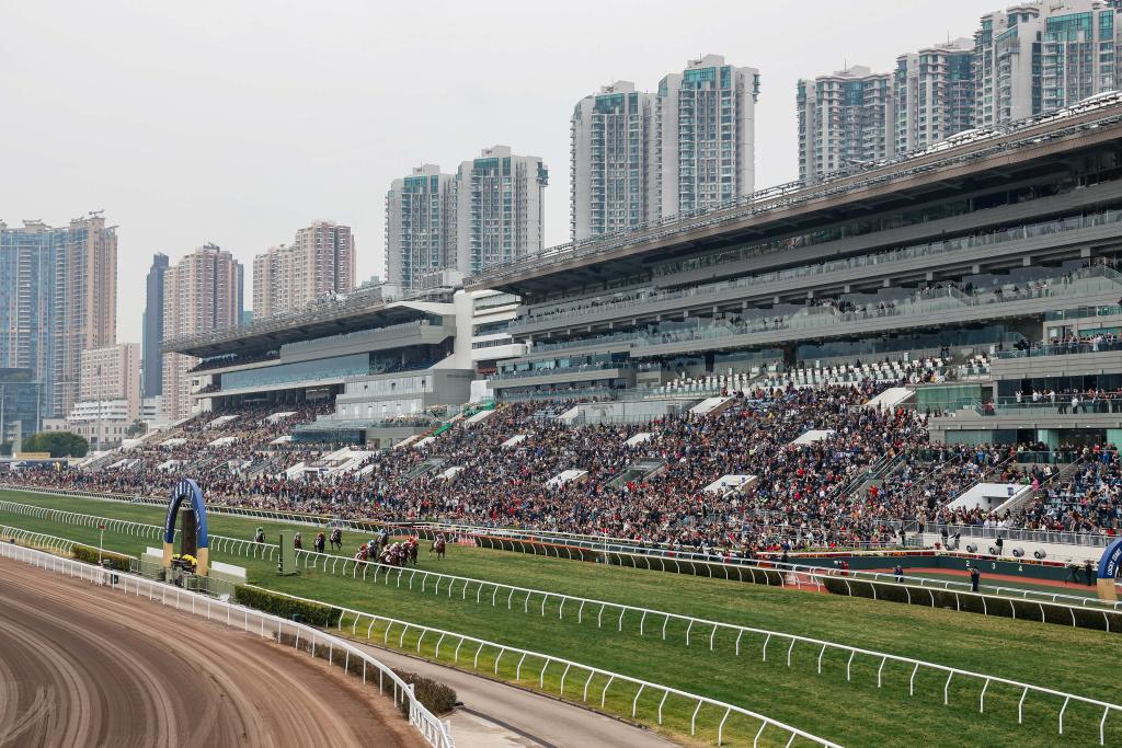 關(guān)于香港今晚開特馬的分析與預(yù)測（一），香港今晚特馬分析與預(yù)測（一）