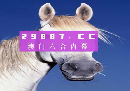 香港免費資料之王中王，香港免費資料之王中王揭秘