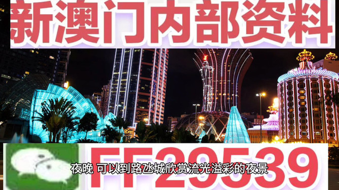 澳門今晚必開一肖一特，揭秘博彩文化背后的秘密，澳門博彩文化揭秘，今晚必開一肖一特探尋背后的秘密
