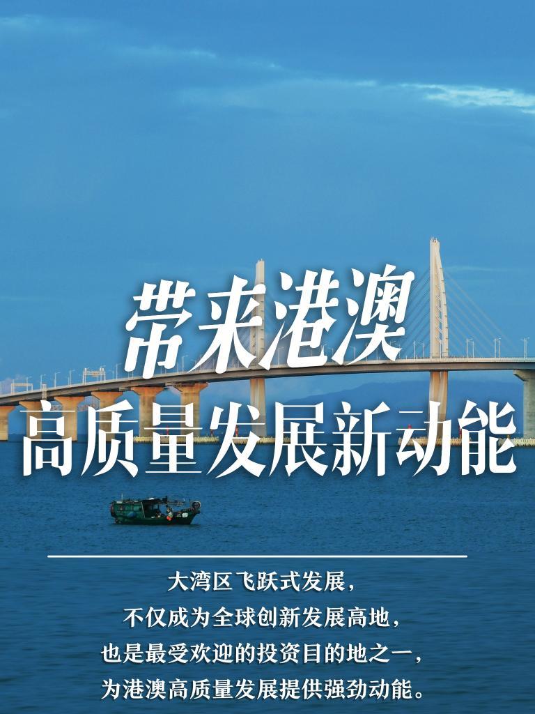 探索未來之門，2025新澳門精準(zhǔn)免費大全，探索未來之門，2025新澳門精準(zhǔn)免費大全概覽