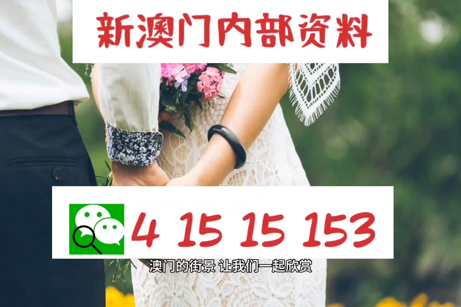 澳門免費精準(zhǔn)資料，探索與解析，澳門免費精準(zhǔn)資料解析與探索