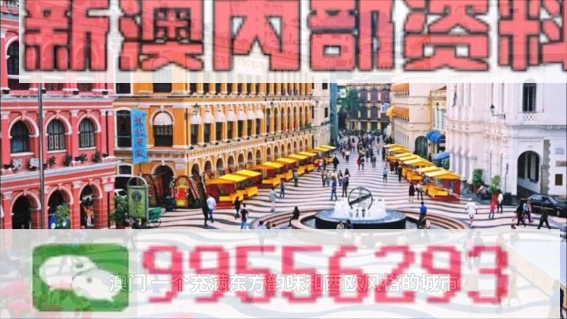 新澳門精準四肖期期準，探索博彩文化的魅力，澳門博彩文化探索，精準四肖的魅力所在